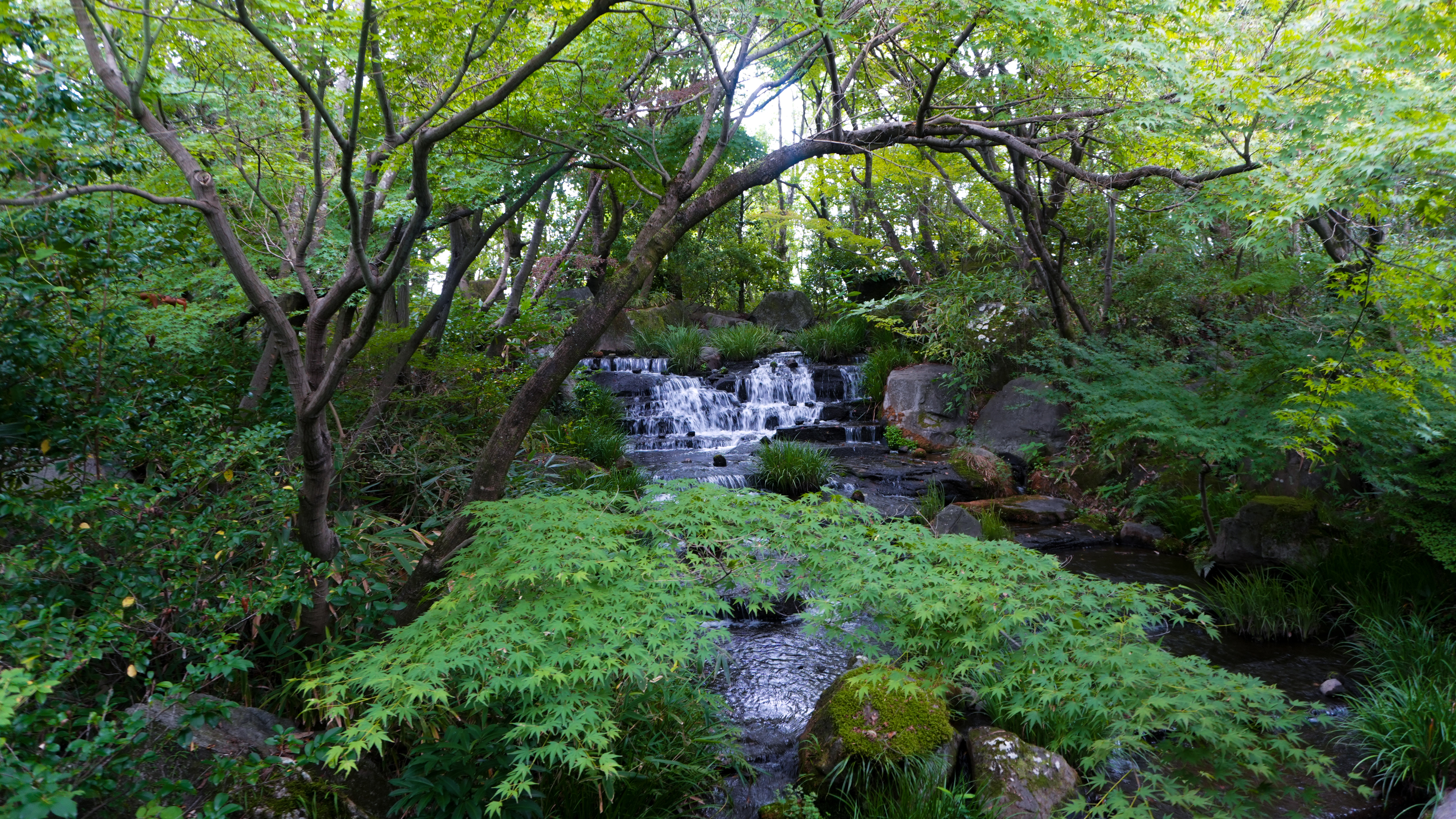 A stream in Koko-en