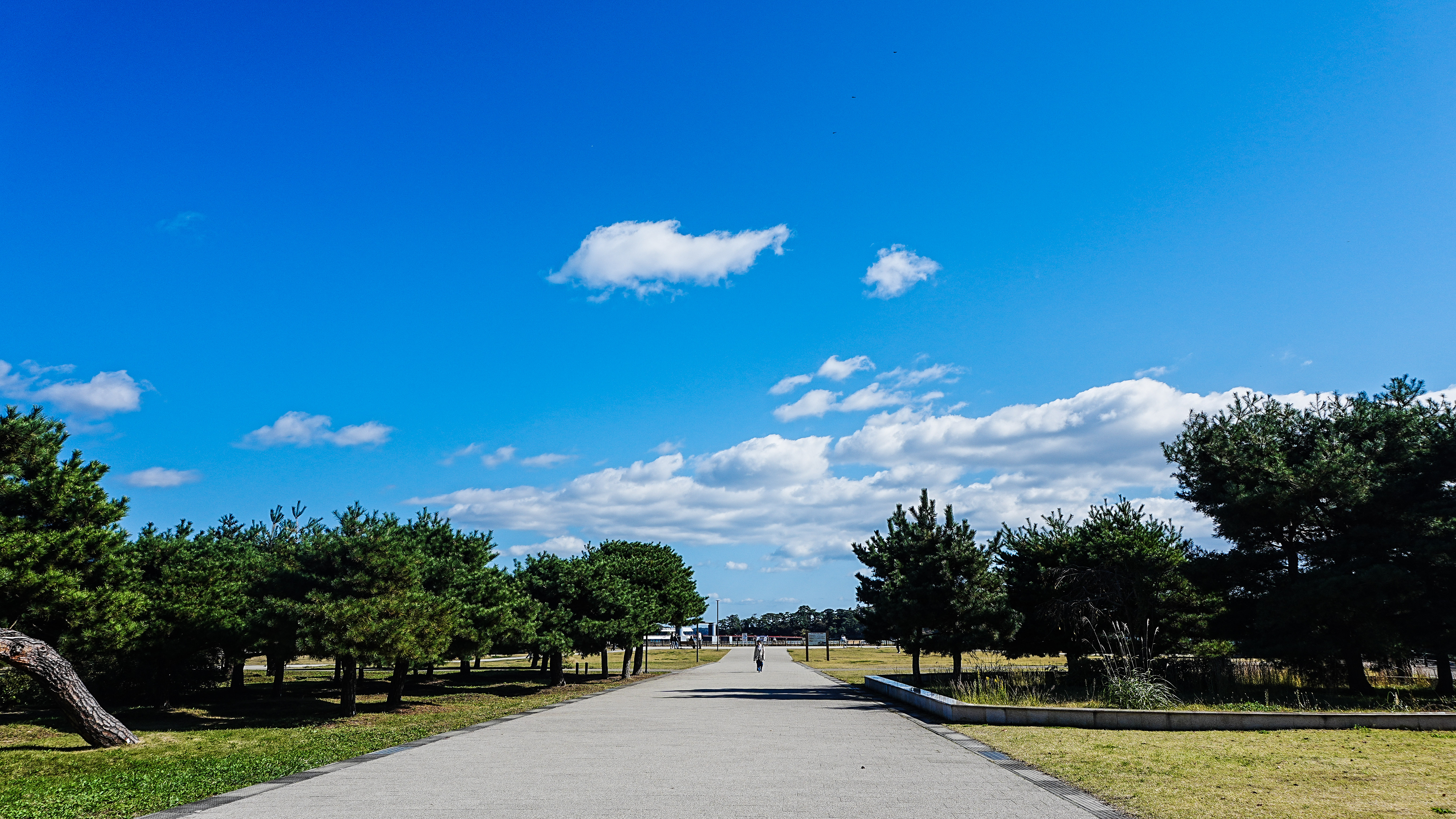 Matsushima Bay