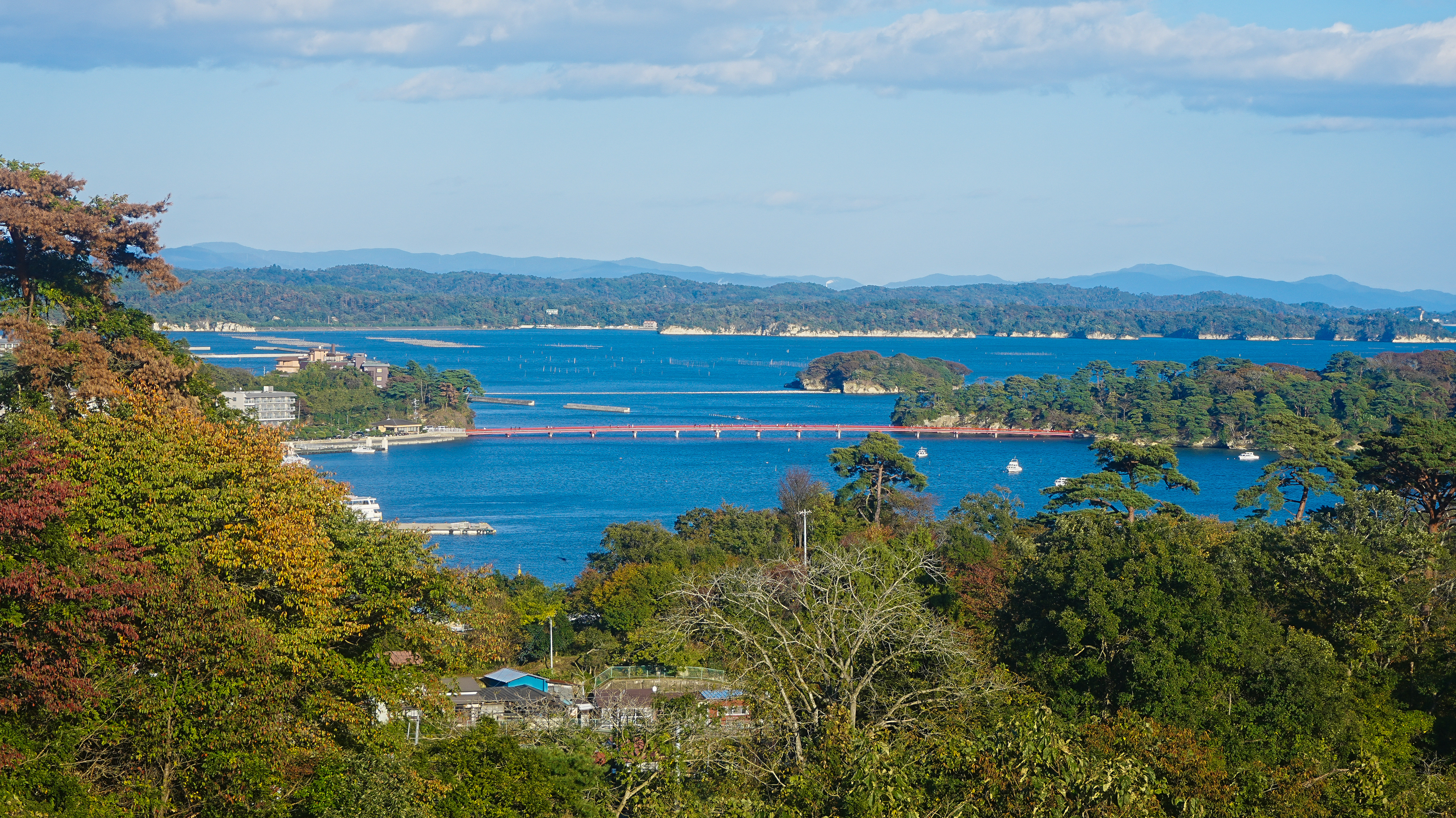 Overlooking Matsushima Bay